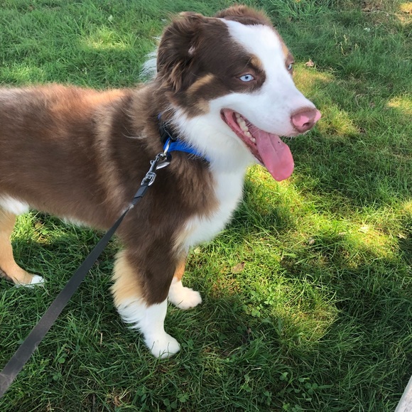 Meet the Posher Other - Meet your Posher, Stephanie